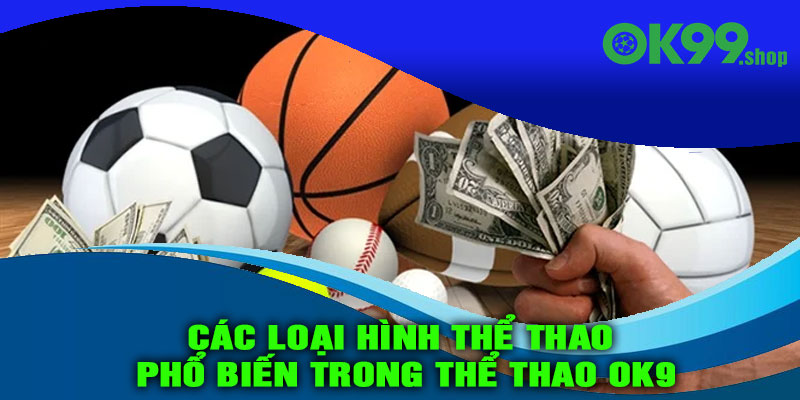 Các loại hình thể thao phổ biến trong Thể thao OK9